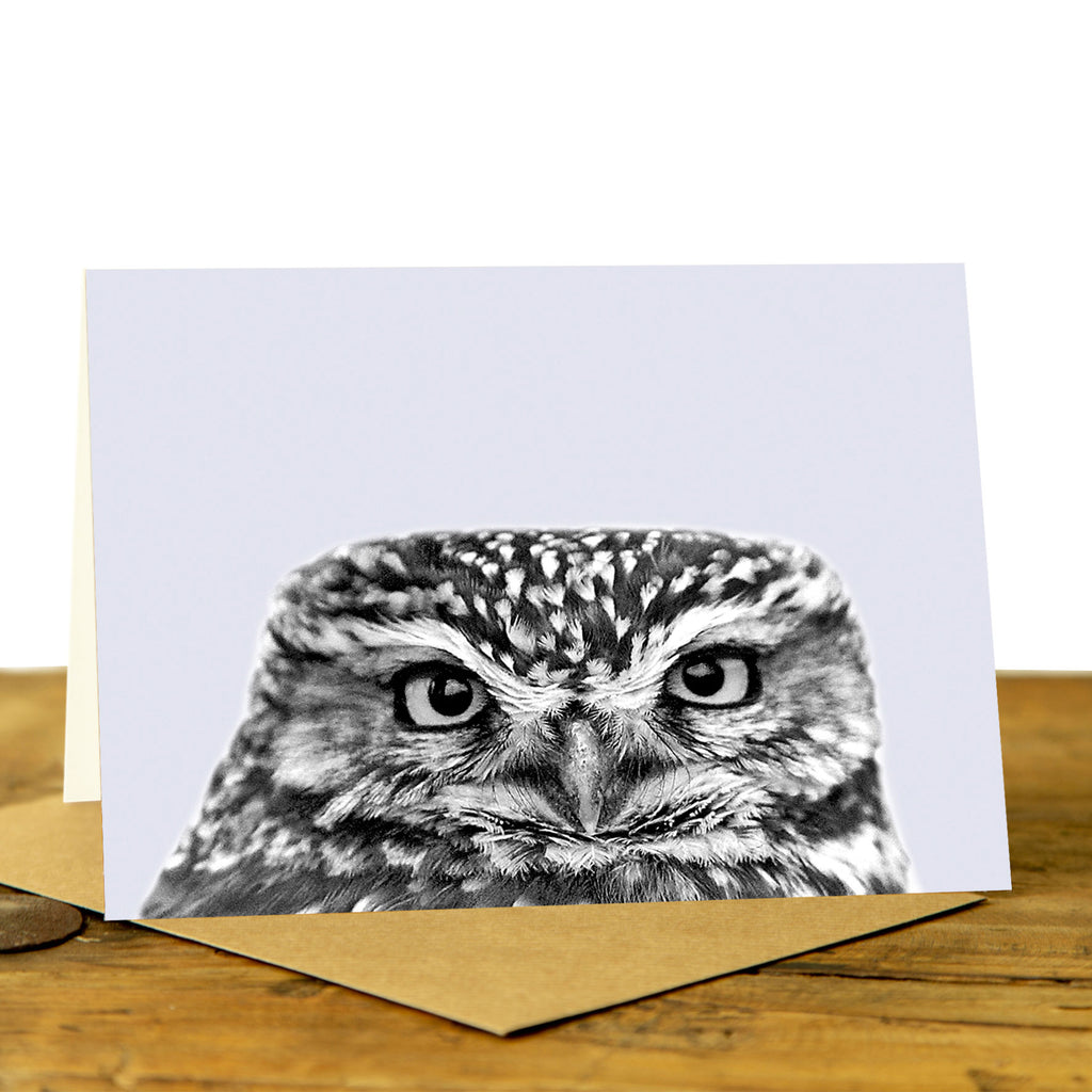 Little Owl Card - Little Owl Peeking - Pale Lavender