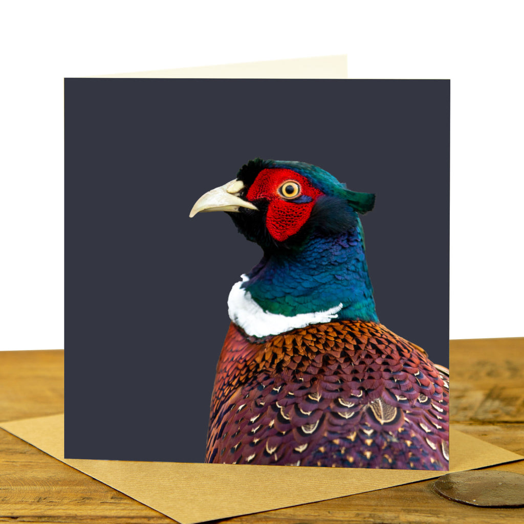 Pheasant Card - Colour Image - Charcoal Background