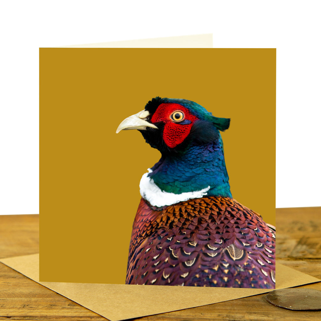 Pheasant Card - Colour Image - Mustard Background
