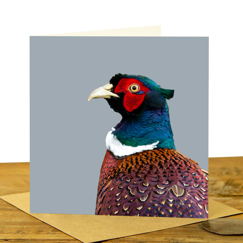 Pheasant Card - Colour Image - Pale Greyl Background