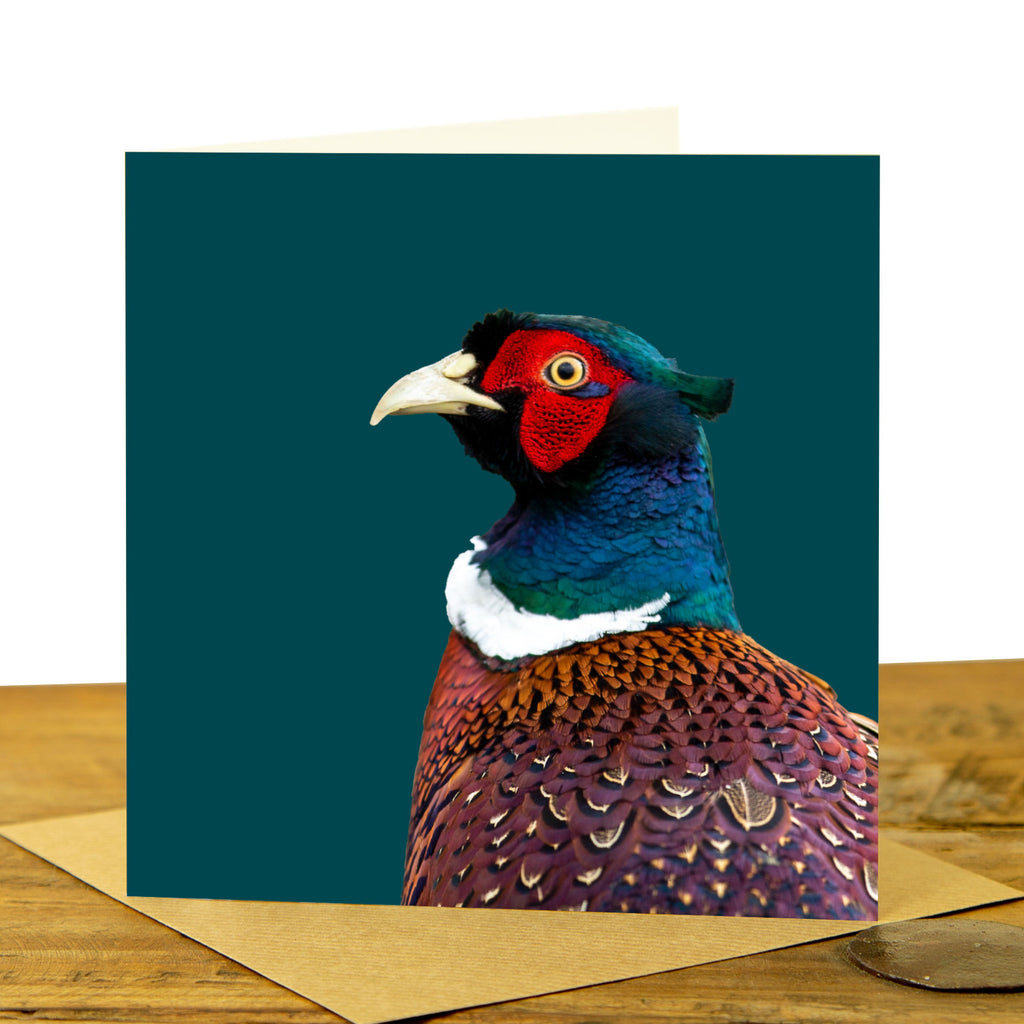 Pheasant Card - Colour Image - Teal Background