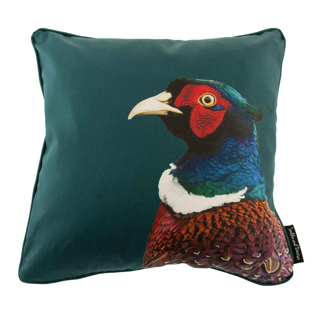 Pheasant Cushion (Colour) - Teal Green