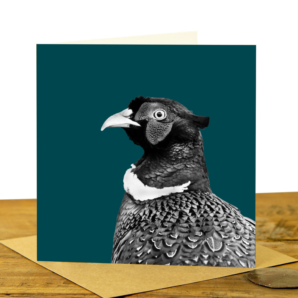 Pheasant Greeting Card - Teal