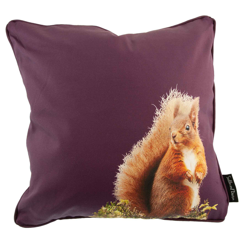 Red Squirrel Cushion - Mulberry