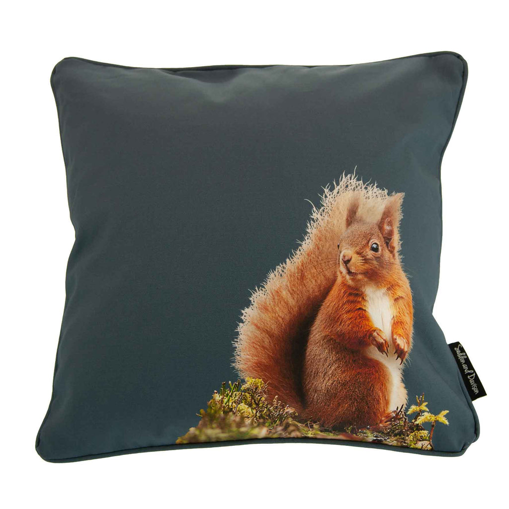 Red Squirrel Cushion - Steel Blue
