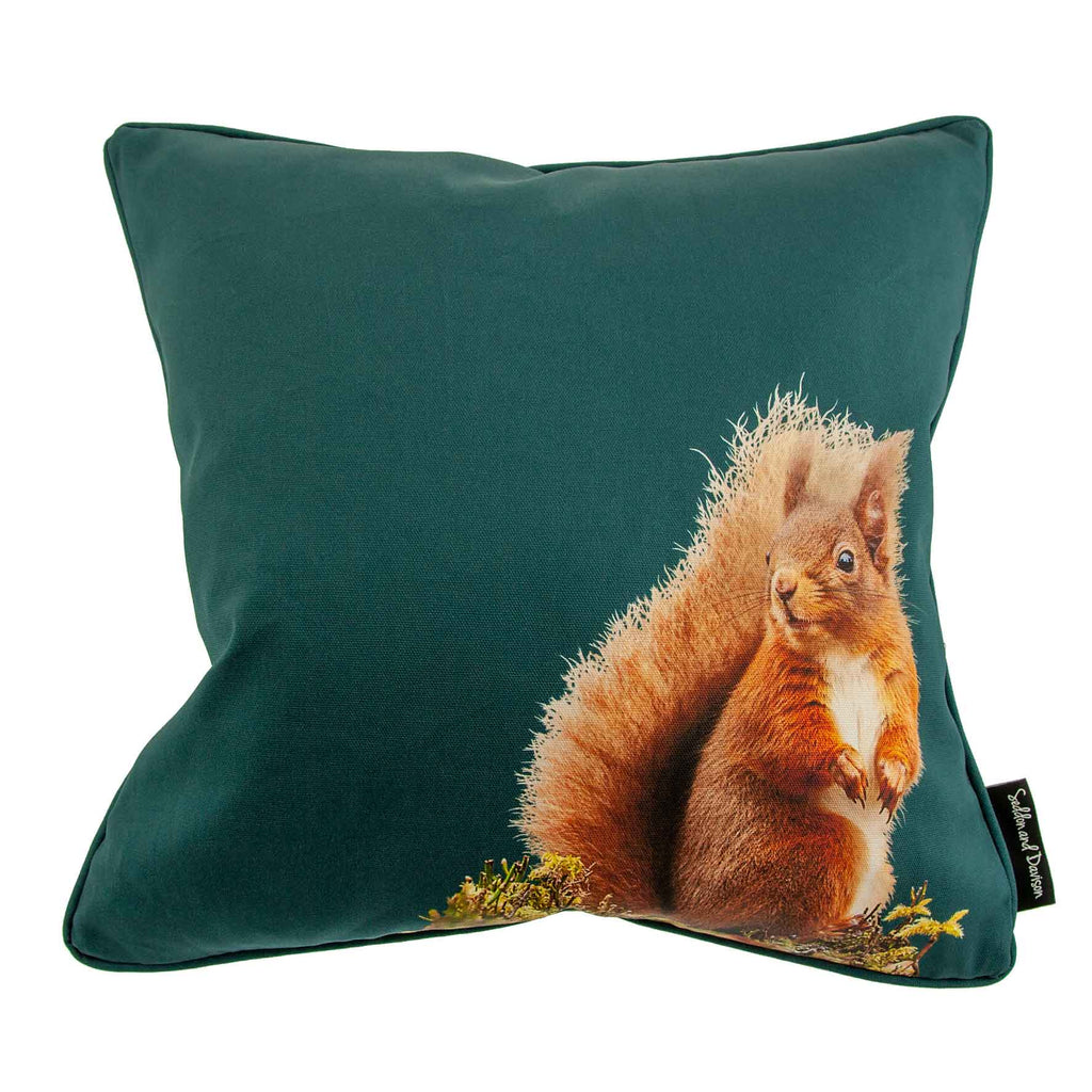 Red Squirrel Cushion - Teal Green