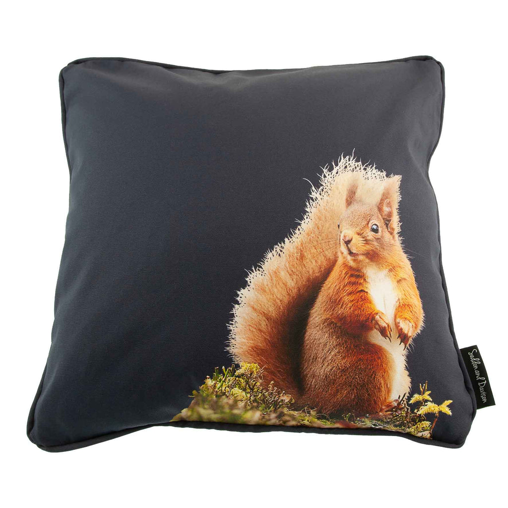 Red Squirrel cushion - Blackberry