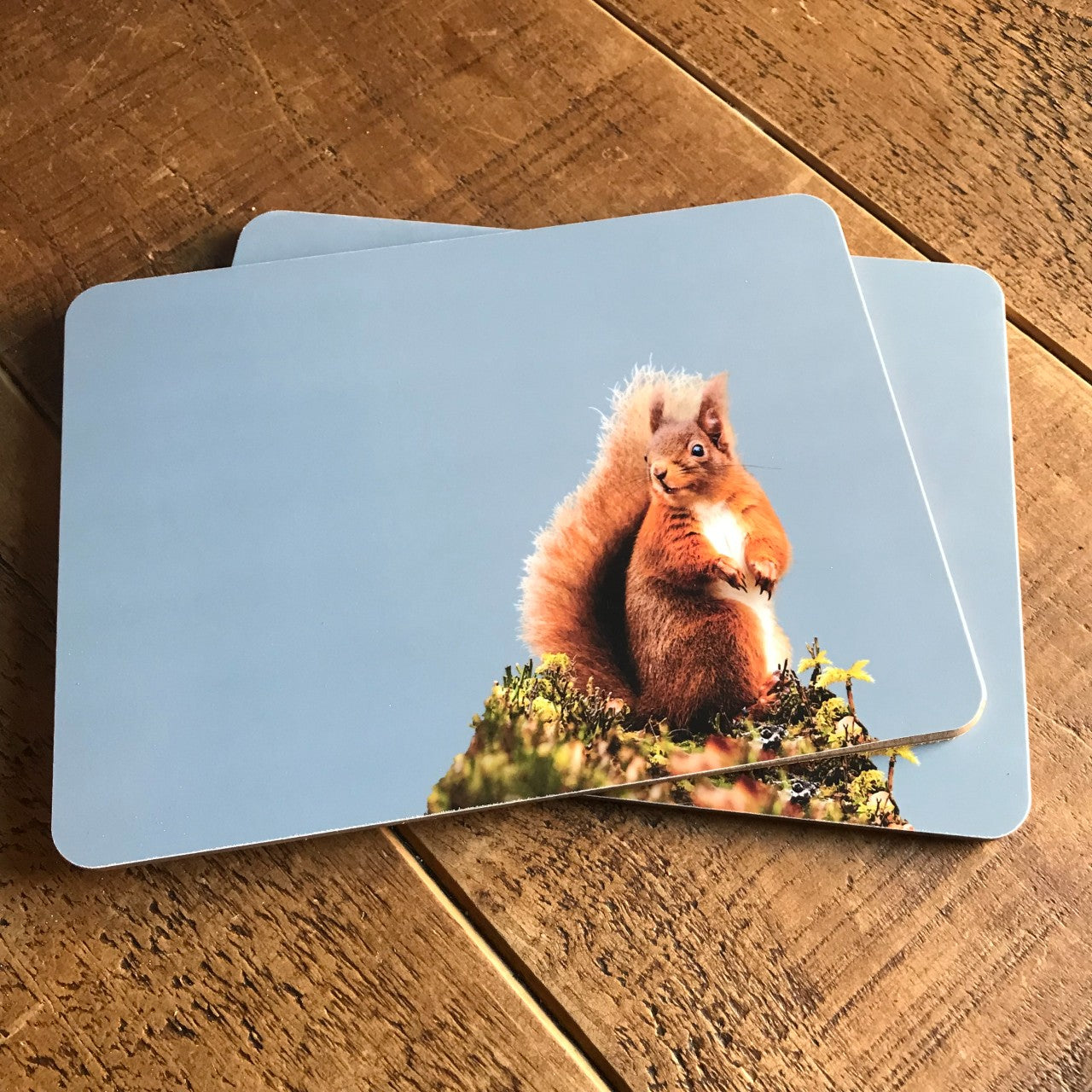 Red Squirrel Placemat