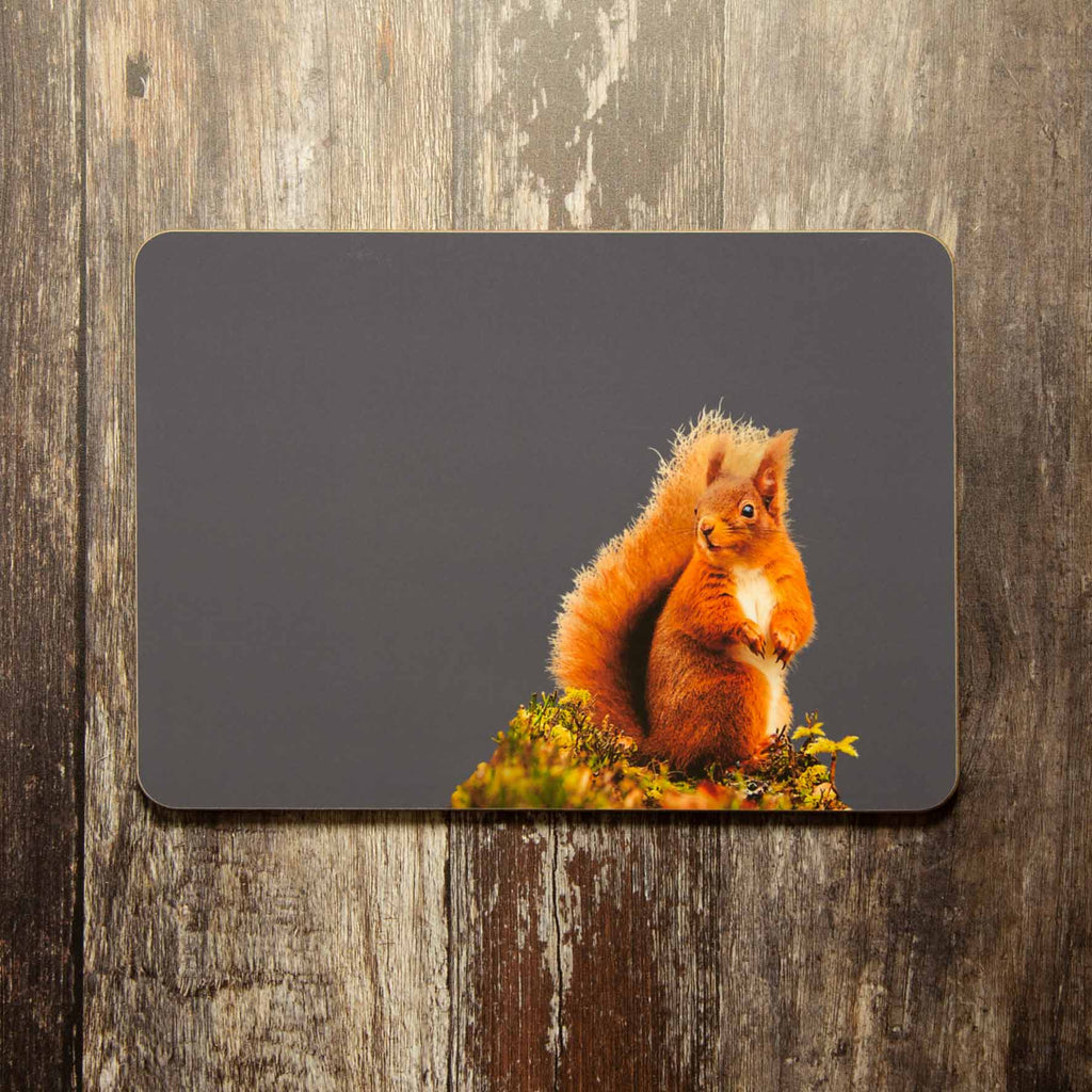 Red Squirrel Placemat - Charcoal