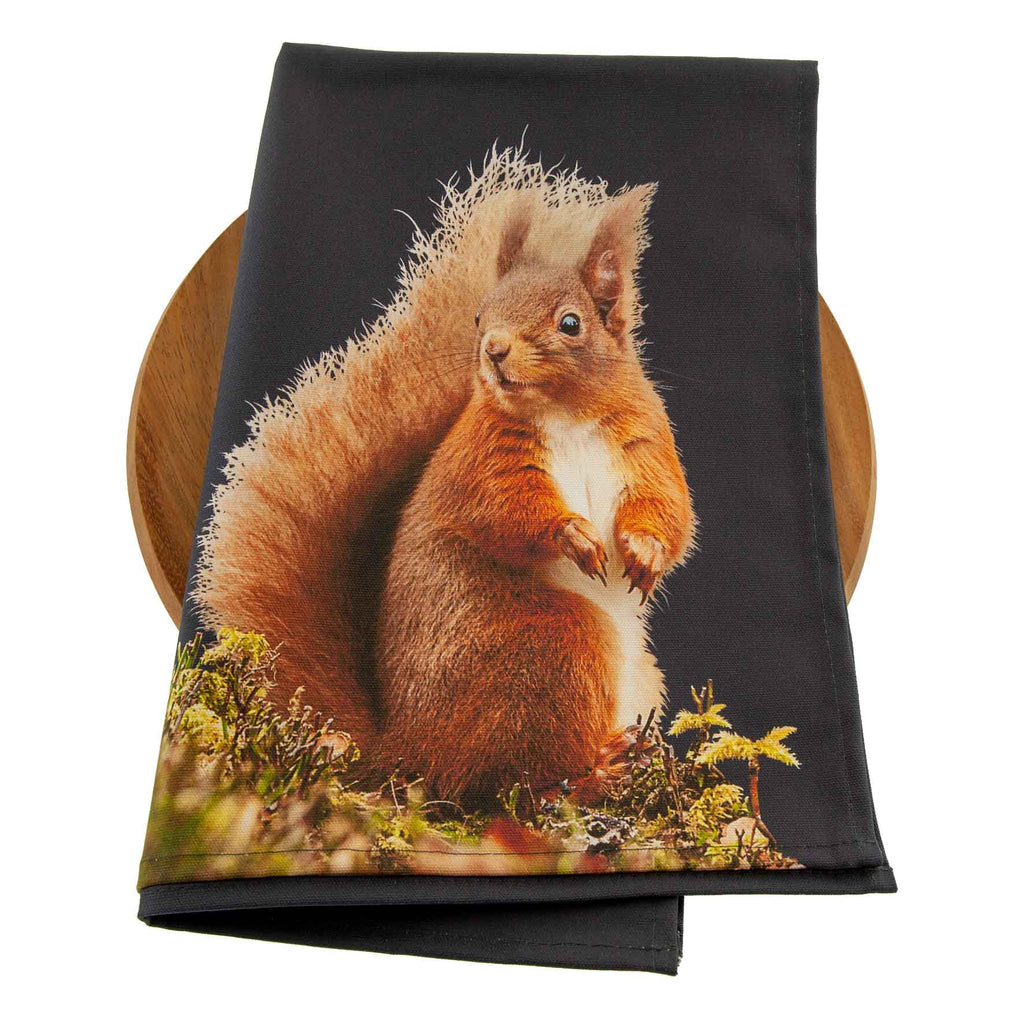 Red Squirrel Tea Towel - Blackberry