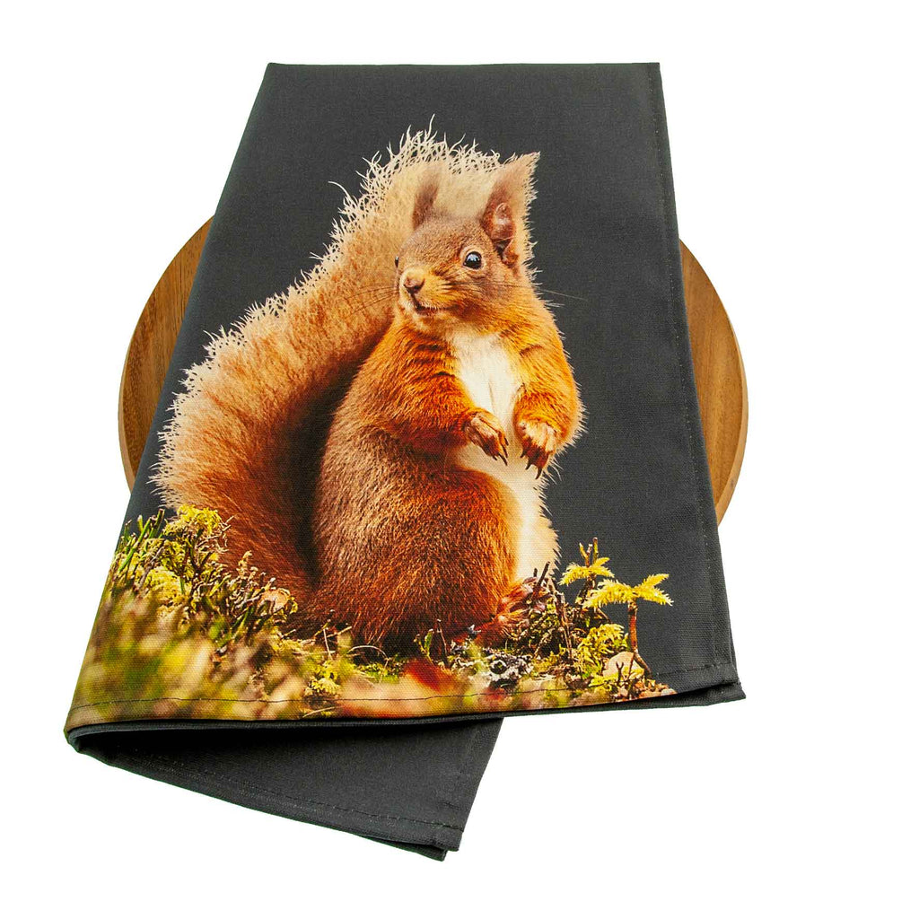 Red Squirrel Tea Towel - Charcoal