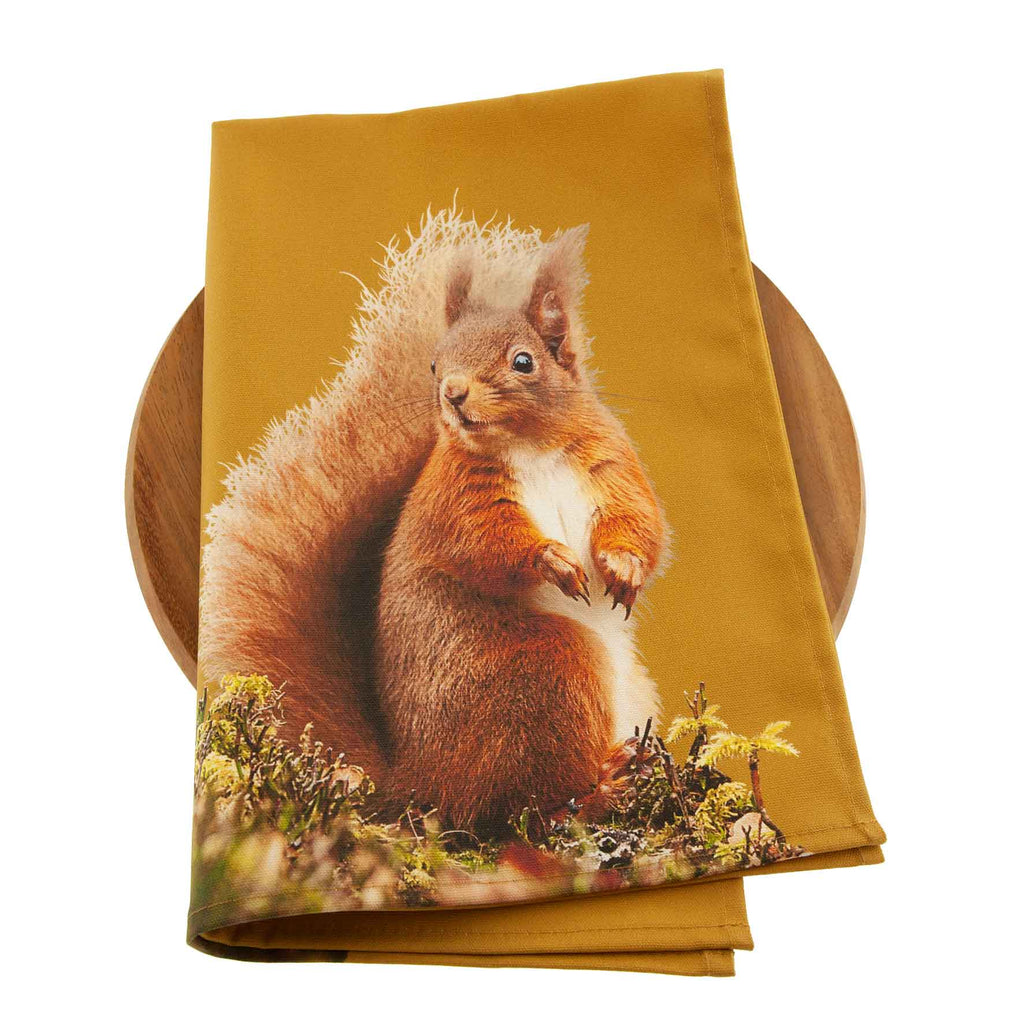 Red Squirrel Tea Towel - Ochre