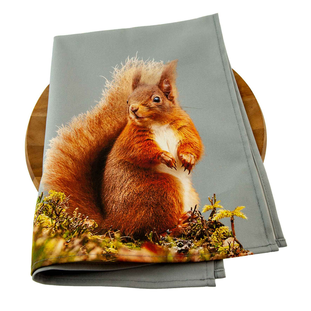 Red squirrel tea towel - pale grey