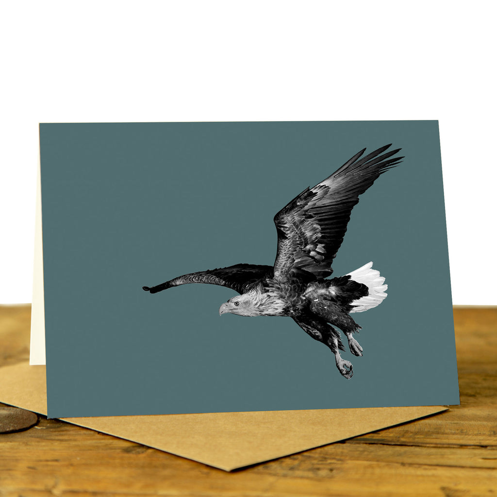 White Tailed Sea Eagle - Greeting Card - Dusk Green