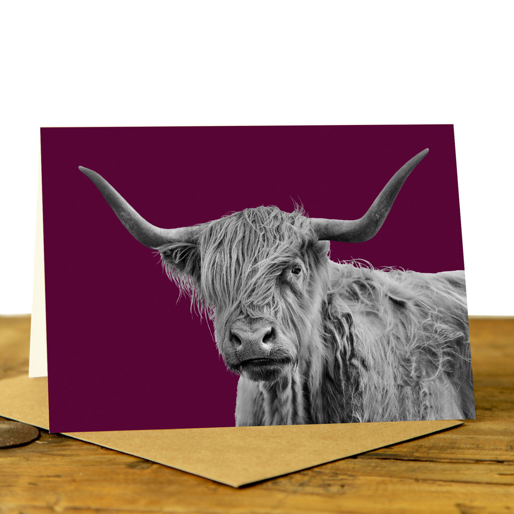 Shaggy Highland Cow Card - Claret