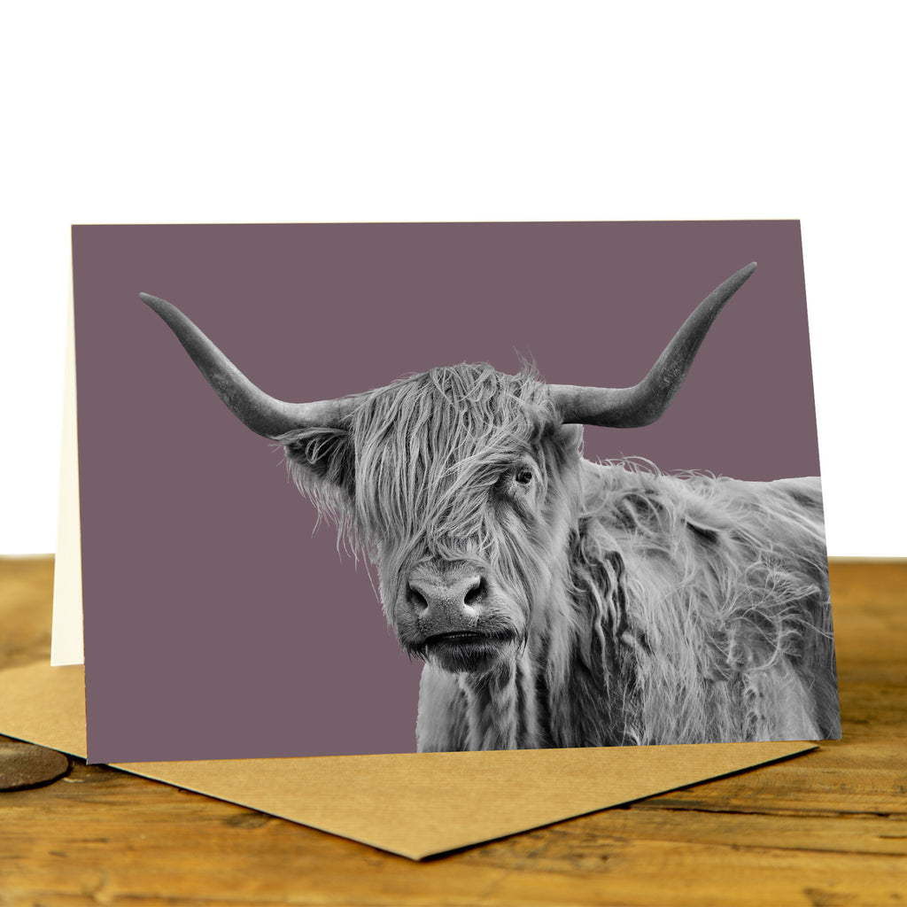 Shaggy Highland Cow Card - Dusky Pink