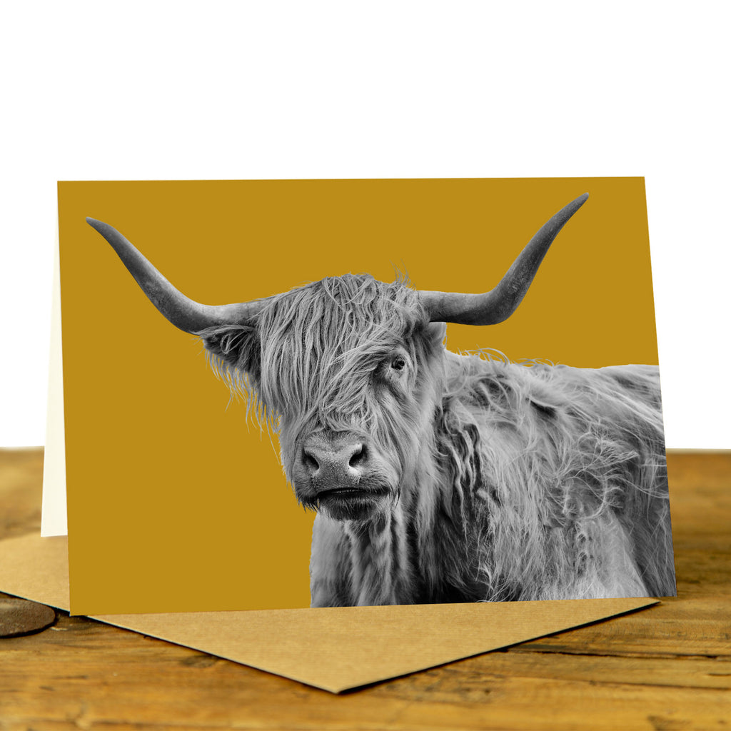 Shaggy Highland Cow Card - Mustard