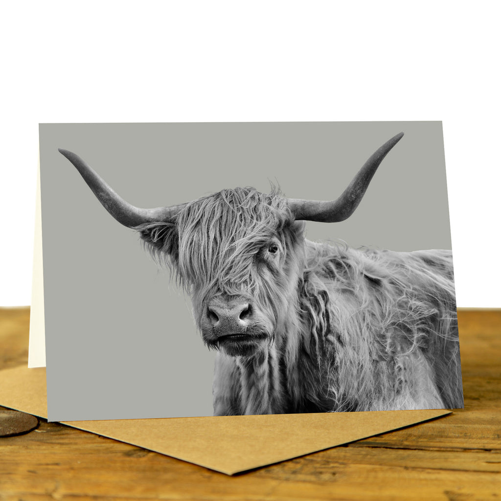 Shaggy Highland Cow Card - Sage Grey