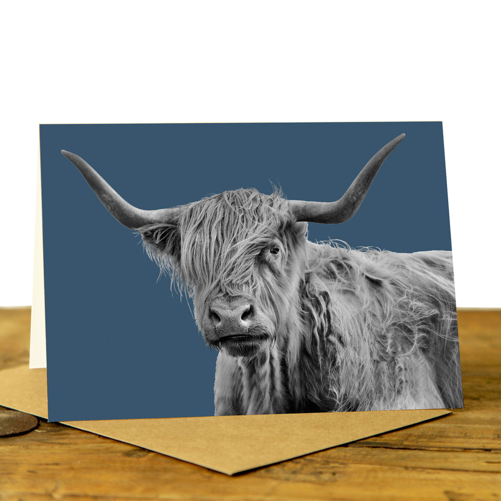 Shaggy Highland Cow Card - Indigo