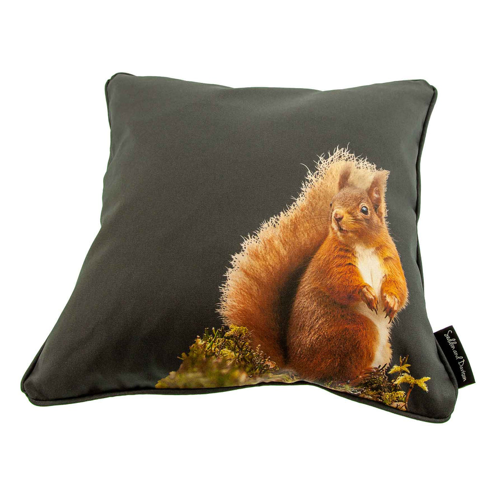 Squirrel Cushion - Charcoal