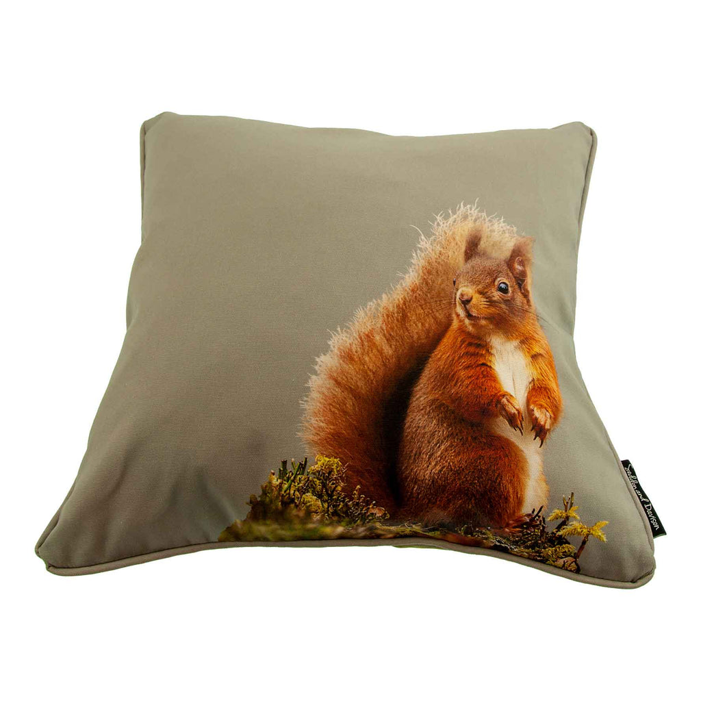 Squirrel Cushion - Sage Grey