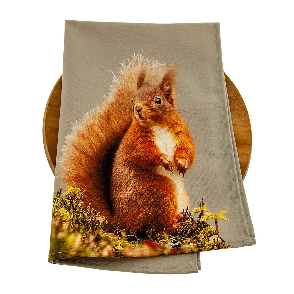 Red Squirrel Tea Towel - Sage Grey