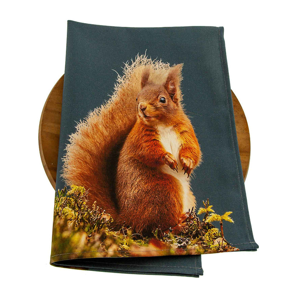 Red Squirrel Tea Towel - Steel Blue