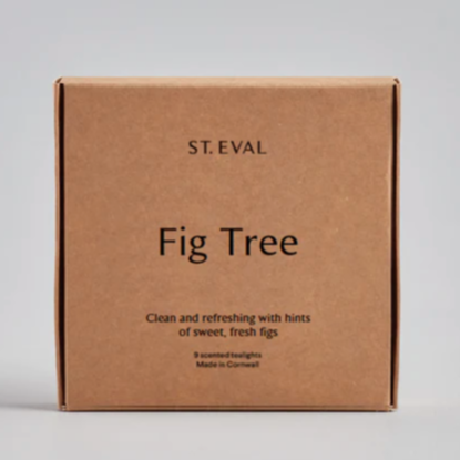 St Eval Scented Tea Lights - Fig Tree