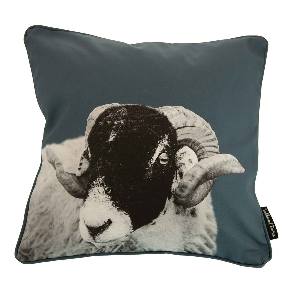 Swaledale Sheep Cushion - Steel Blue