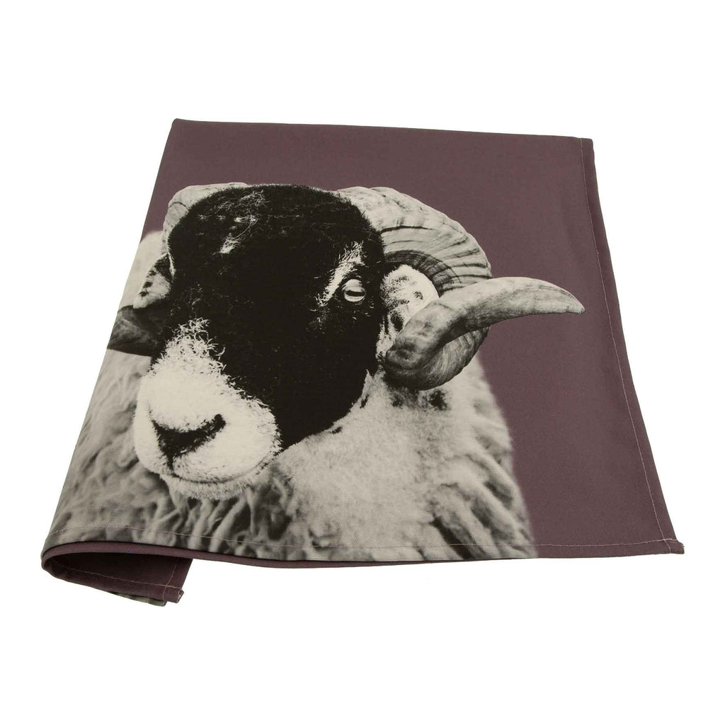 swaledale sheep tea towel - dusky pink