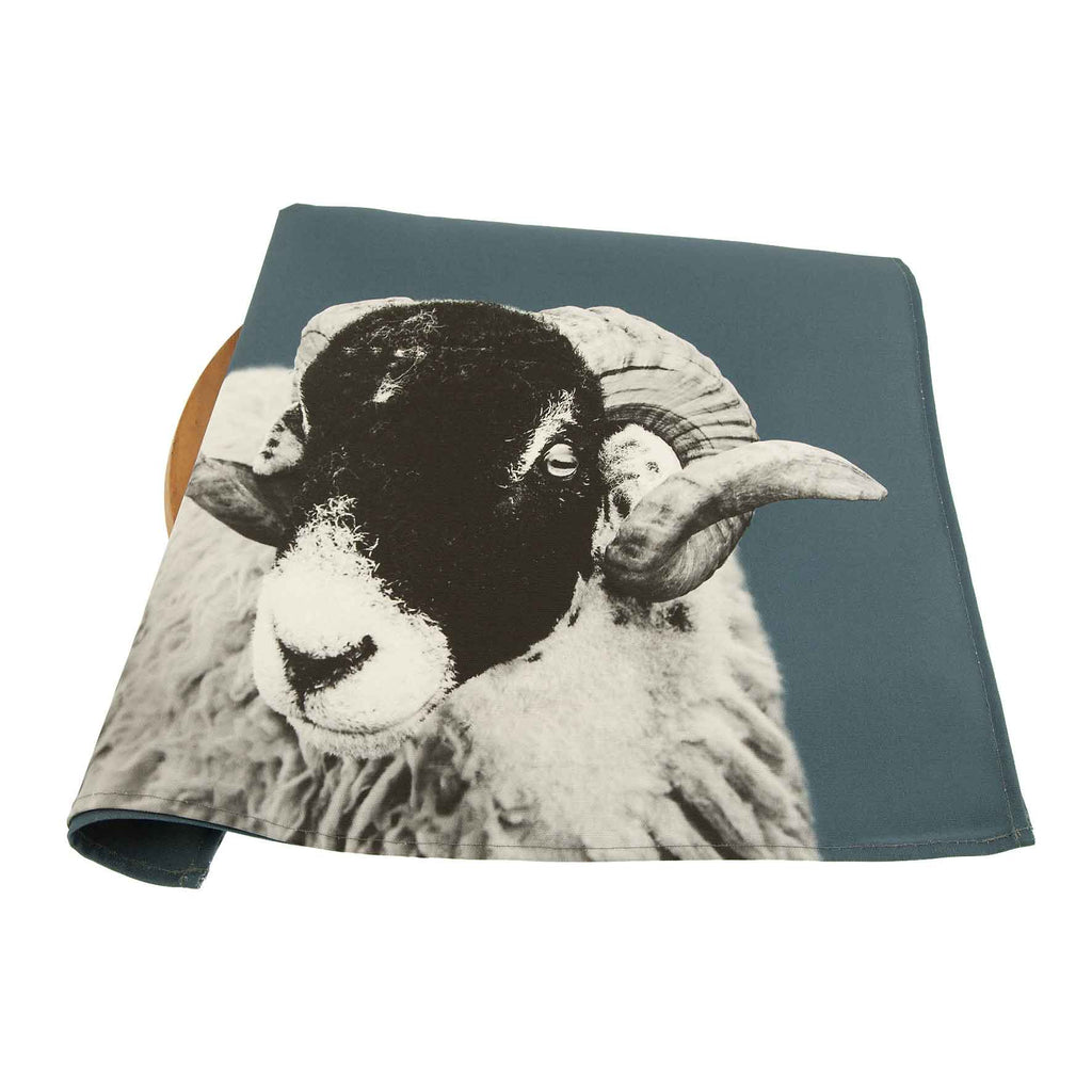 swaledale sheep tea towel  - steel blue