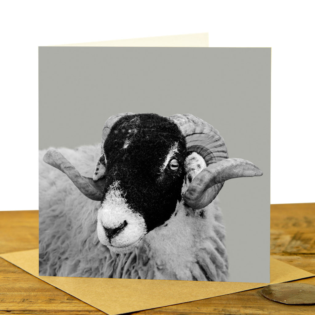Swaledale Sheep Card - Sage Grey