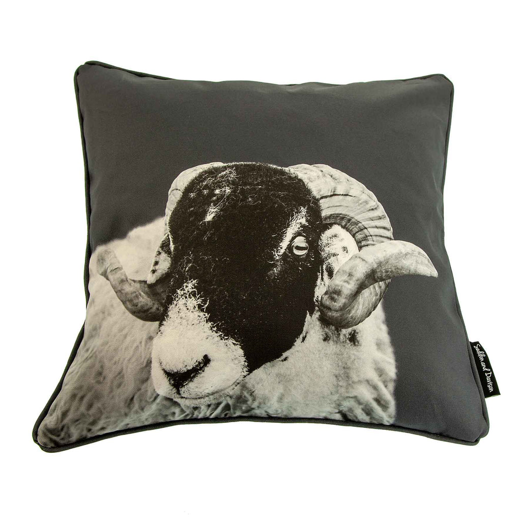 Swaledale sheep cushion - charcoal
