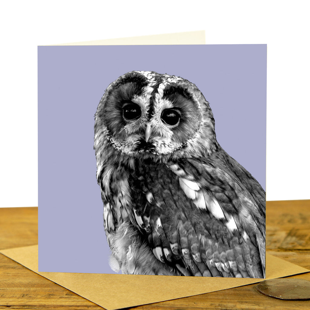 Tawny Owl Greeting Card - Lilac