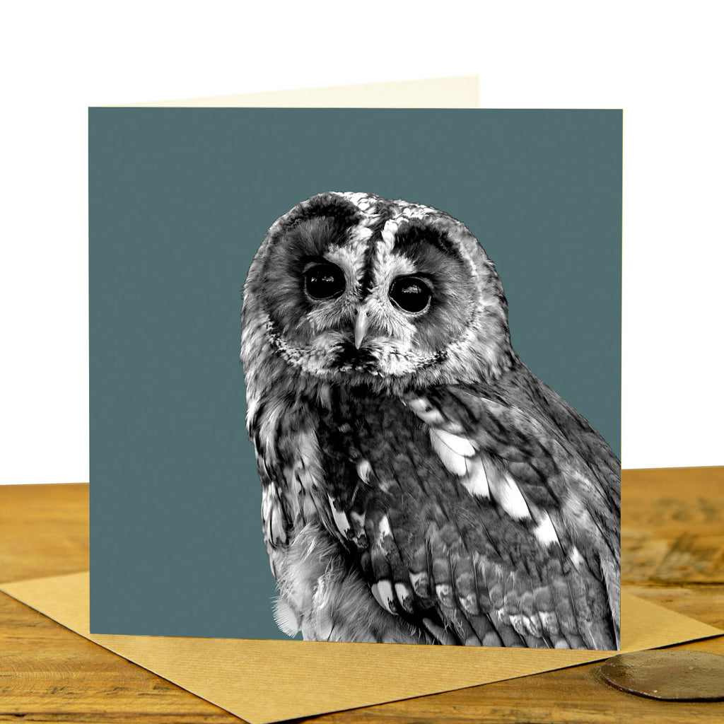Tawny Owl Greeting Card - Dusk Green